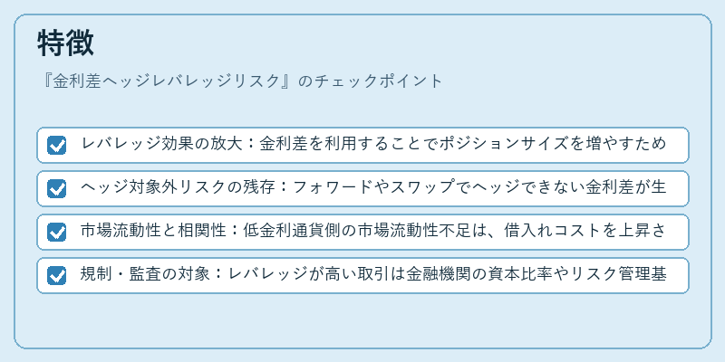 特徴（金利差ヘッジレバレッジリスク）の図解