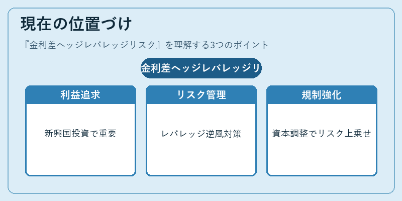 現在の位置づけ（金利差ヘッジレバレッジリスク）の図解