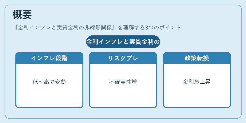 概要（金利インフレと実質金利の非線形関係）の図解