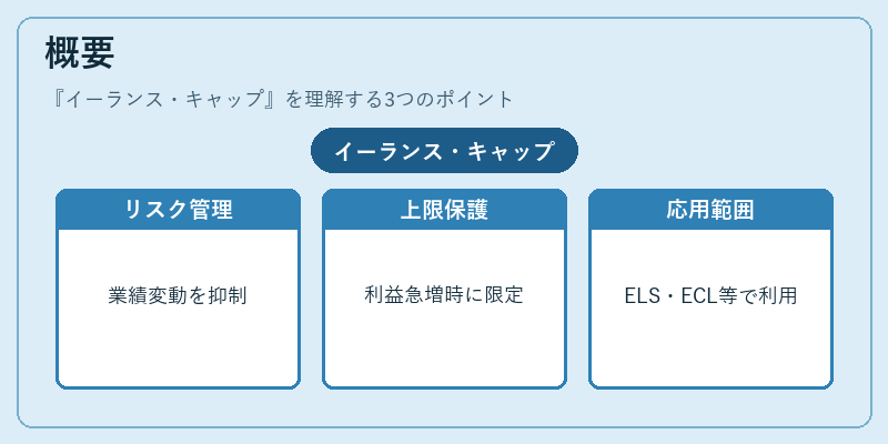 概要(イーランス・キャップ)の図解