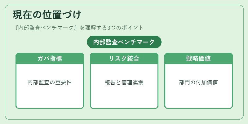 現在の位置づけ(内部監査ベンチマーク)の図解