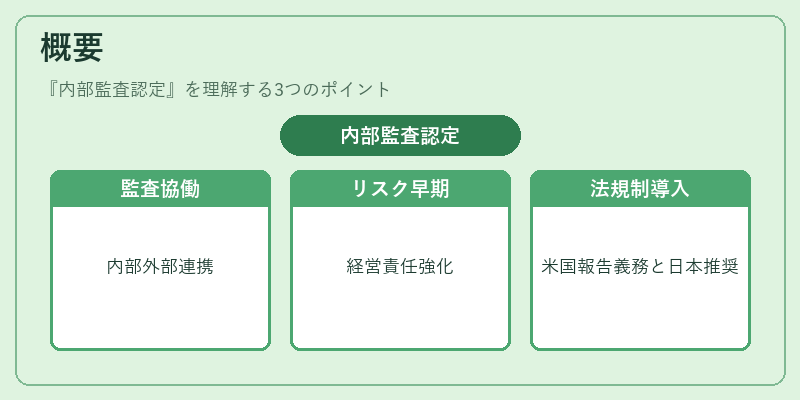 概要（内部監査認定）の図解