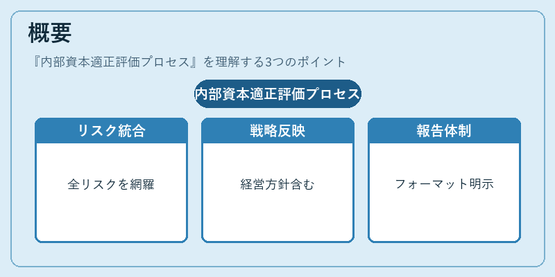 概要（内部資本適正評価プロセス）の図解