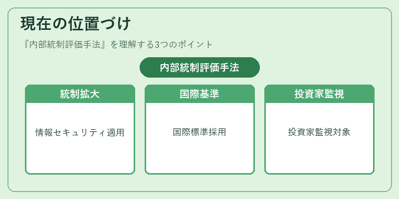 現在の位置づけ（内部統制評価手法）の図解