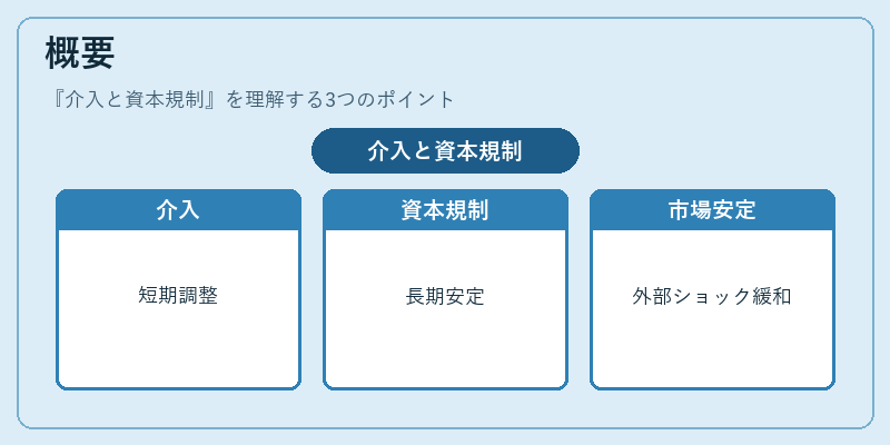 概要（介入と資本規制）の図解