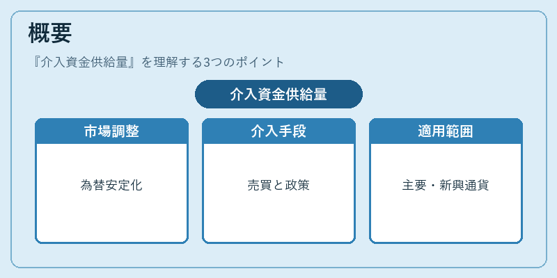 概要（介入資金供給量）の図解