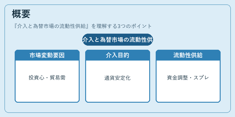 概要(介入と為替市場の流動性供給)の図解