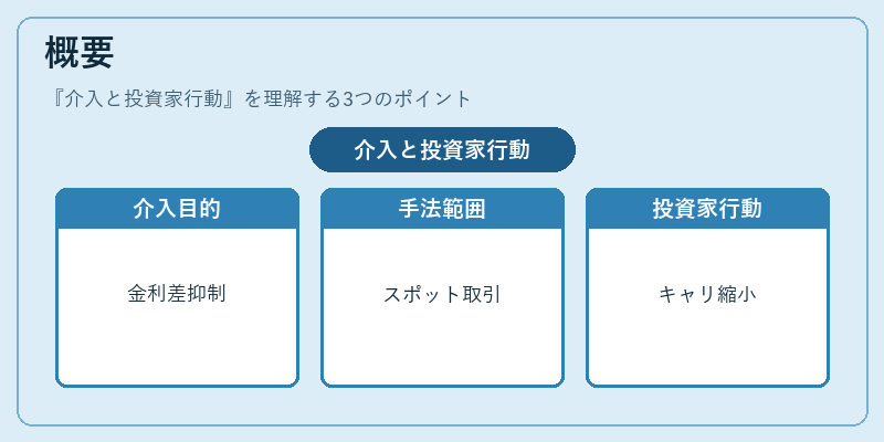 概要（介入と投資家行動）の図解