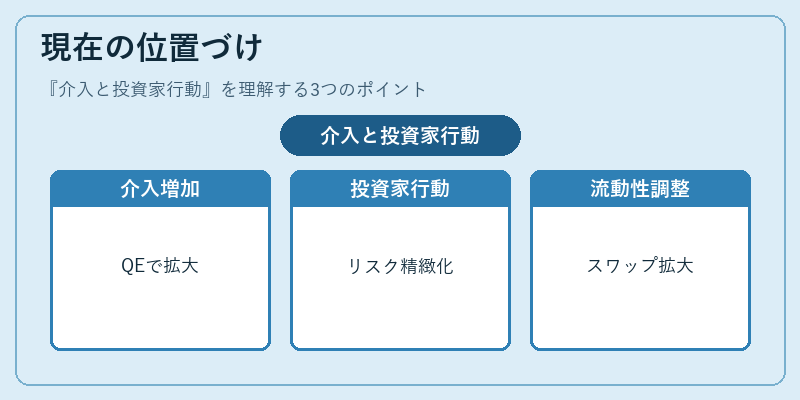 現在の位置づけ（介入と投資家行動）の図解