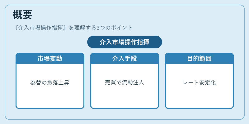 概要（介入市場操作指揮）の図解