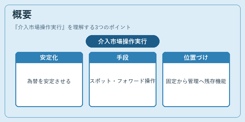 概要(介入市場操作実行)の図解