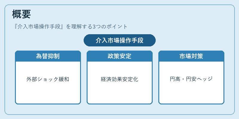 概要(介入市場操作手段)の図解