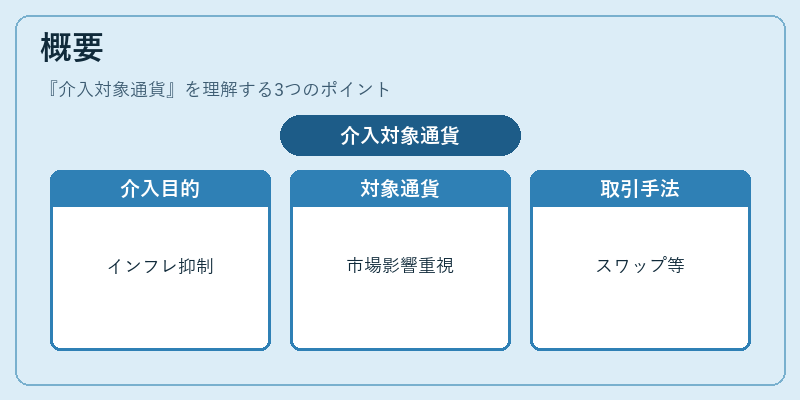概要（介入対象通貨）の図解