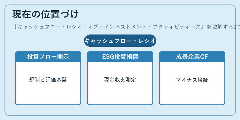 現在の位置づけ（キャッシュフロー・レシオ・オブ・インベストメント・アクティビティーズ）の図解
