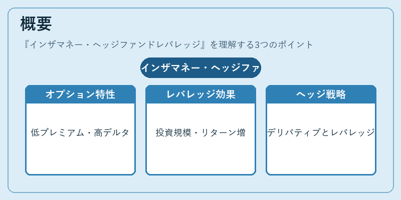 概要（インザマネー・ヘッジファンドレバレッジ）の図解
