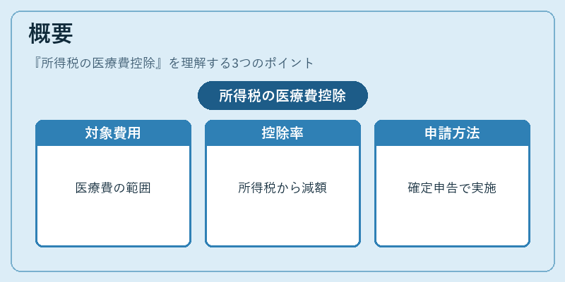概要（所得税の医療費控除）の図解