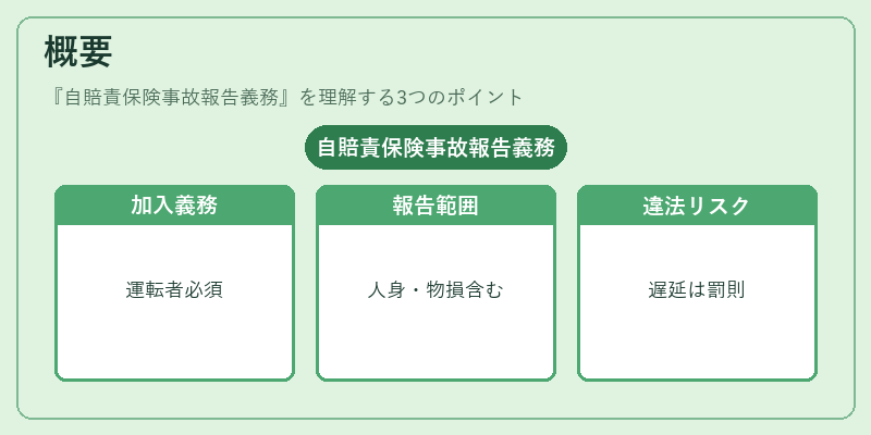 概要(自賠責保険事故報告義務)の図解