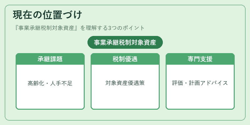 現在の位置づけ（事業承継税制対象資産）の図解