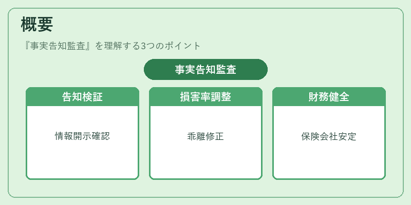 概要（事実告知監査）の図解