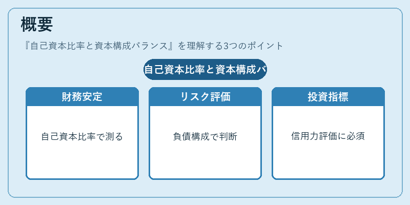 概要（自己資本比率と資本構成バランス）の図解