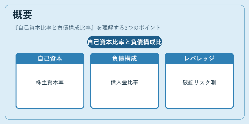 概要（自己資本比率と負債構成比率）の図解