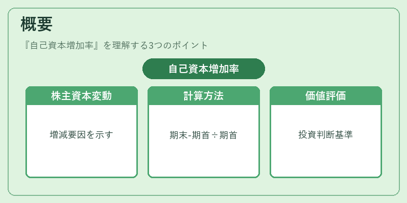 概要（自己資本増加率）の図解