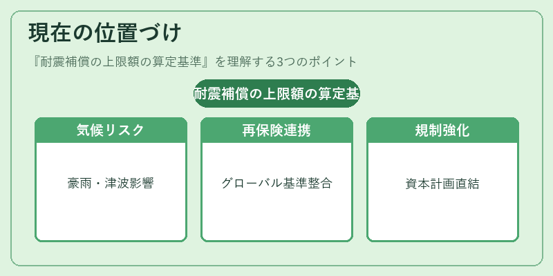 現在の位置づけ（耐震補償の上限額の算定基準）の図解