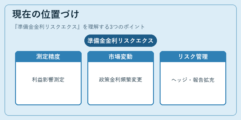現在の位置づけ（準備金金利リスクエクス）の図解