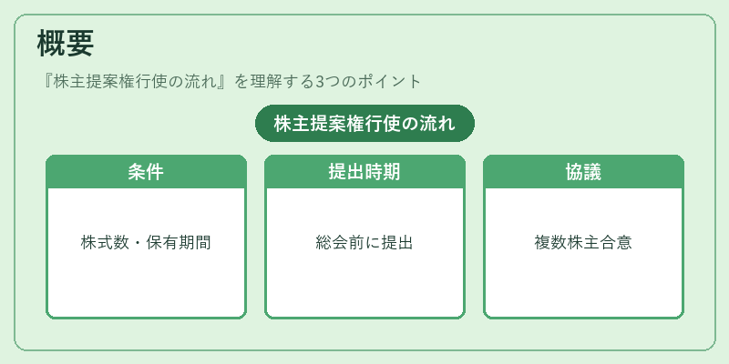 概要（株主提案権行使の流れ）の図解