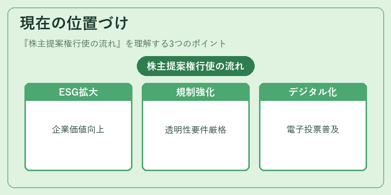 現在の位置づけ（株主提案権行使の流れ）の図解