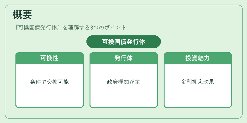 概要（可換国債発行体）の図解