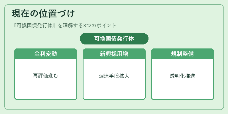 現在の位置づけ（可換国債発行体）の図解