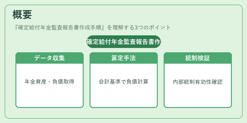 概要（確定給付年金監査報告書作成手順）の図解