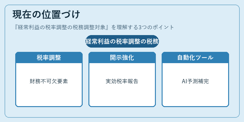現在の位置づけ（経常利益の税率調整の税務調整対象）の図解