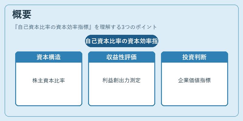 概要（自己資本比率の資本効率指標）の図解