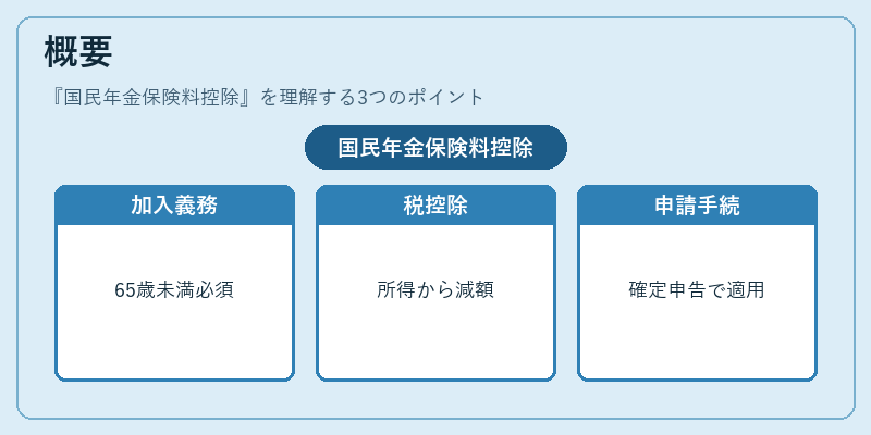 概要（国民年金保険料控除）の図解