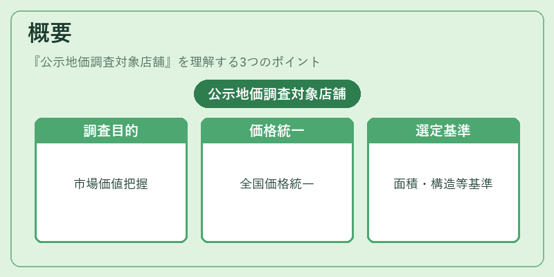 概要（公示地価調査対象店舗）の図解