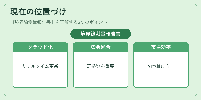 現在の位置づけ(境界線測量報告書)の図解