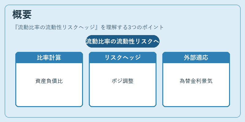 概要（流動比率の流動性リスクヘッジ）の図解