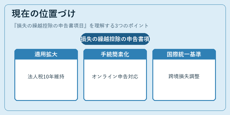 現在の位置づけ（損失の繰越控除の申告書項目）の図解
