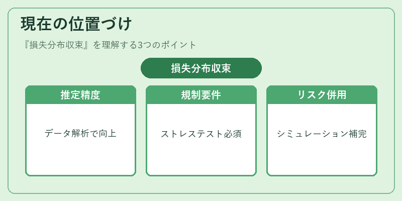 現在の位置づけ(損失分布収束)の図解