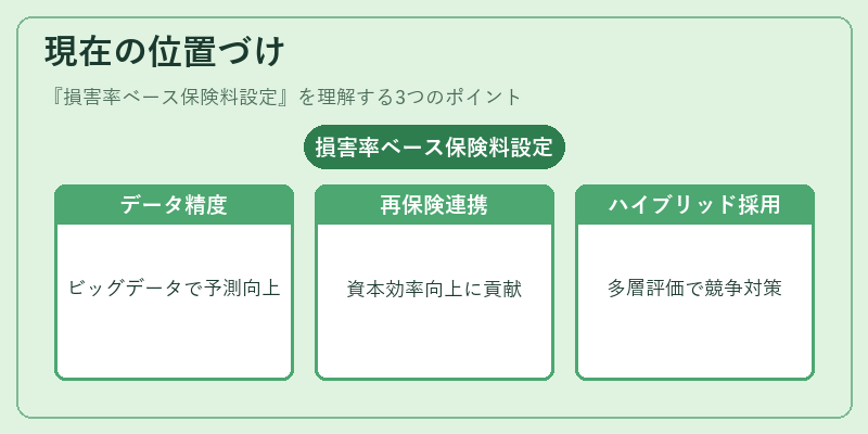 現在の位置づけ(損害率ベース保険料設定)の図解
