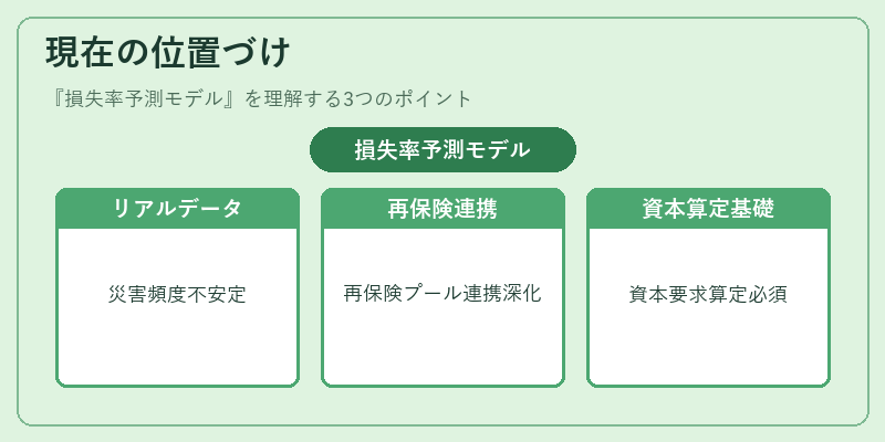 現在の位置づけ（損失率予測モデル）の図解