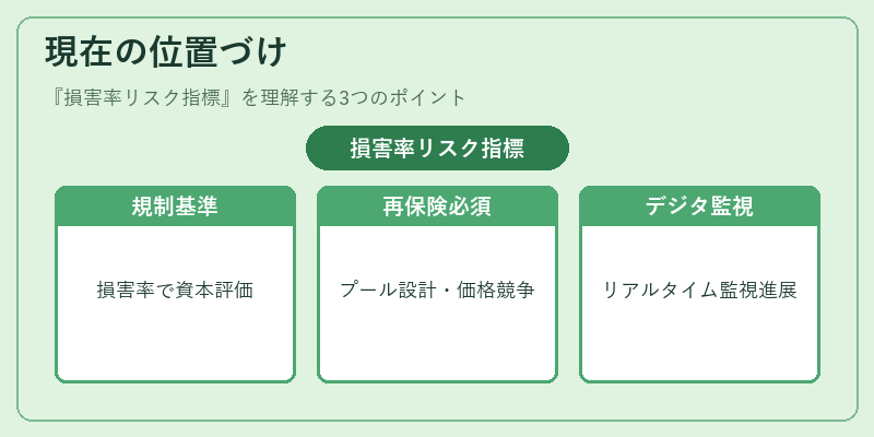 現在の位置づけ(損害率リスク指標)の図解