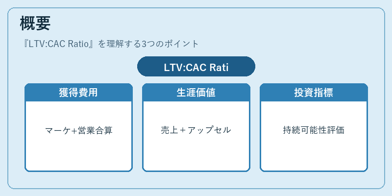 概要（LTV:CAC Ratio）の図解