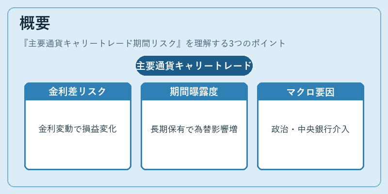 概要(主要通貨キャリートレード期間リスク)の図解
