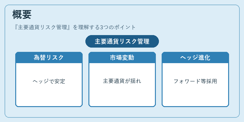 概要（主要通貨リスク管理）の図解