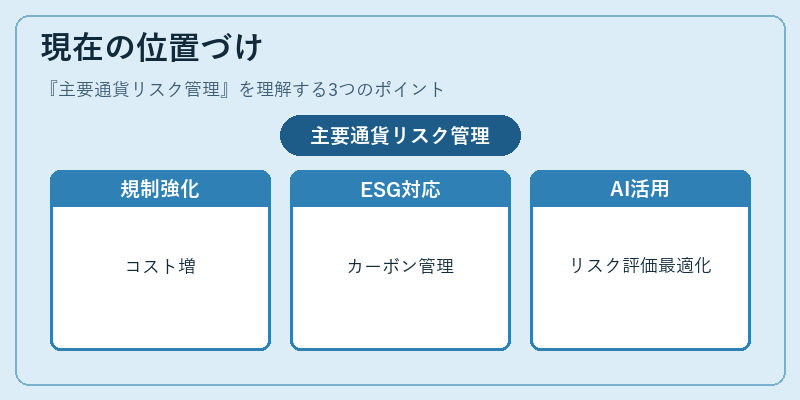 現在の位置づけ（主要通貨リスク管理）の図解