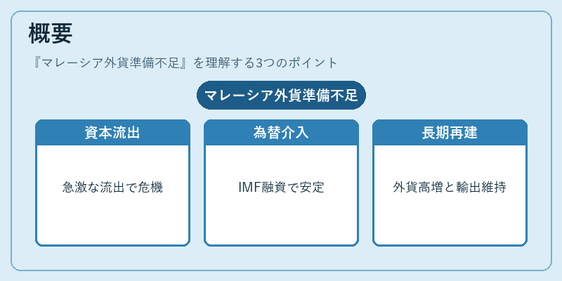 概要（マレーシア外貨準備不足）の図解