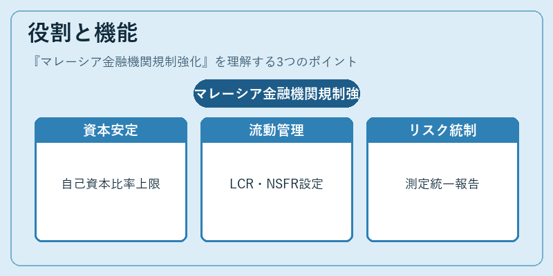 役割と機能（マレーシア金融機関規制強化）の図解